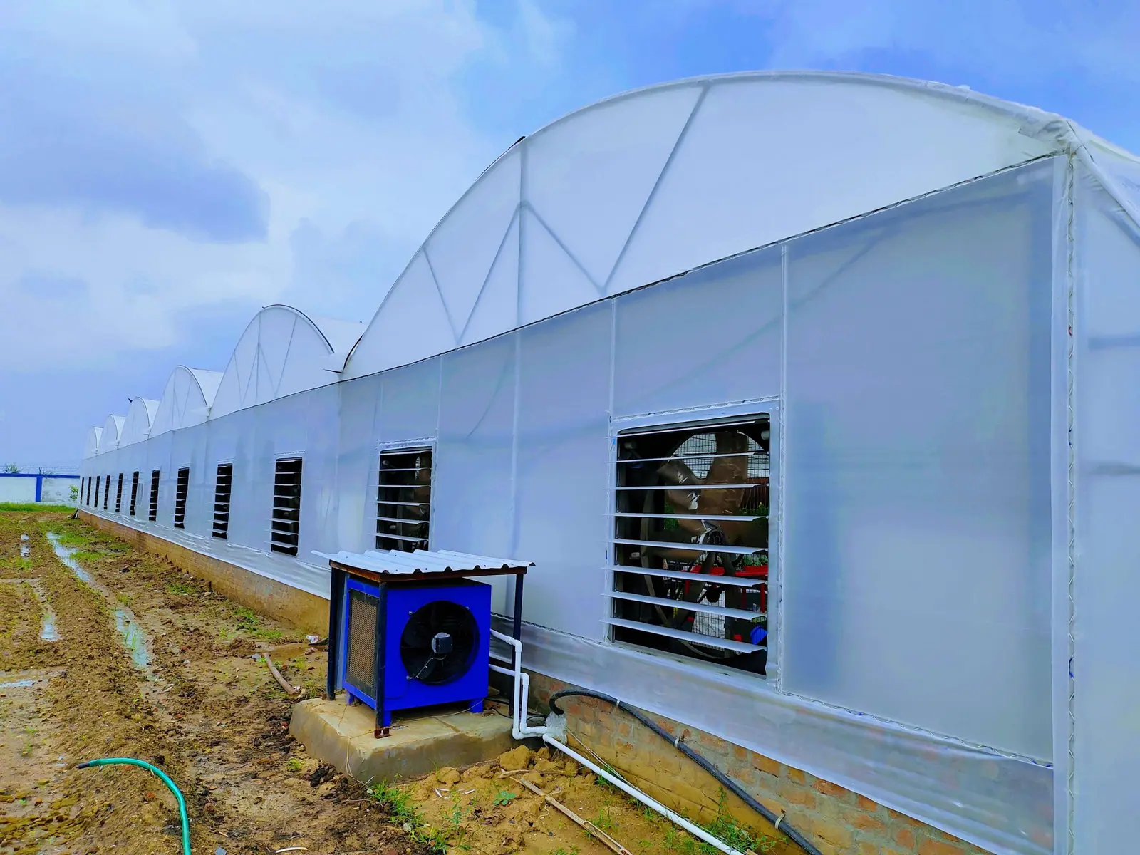 A long polyhouse with a ventilation fan beside a drip-irrigated field.